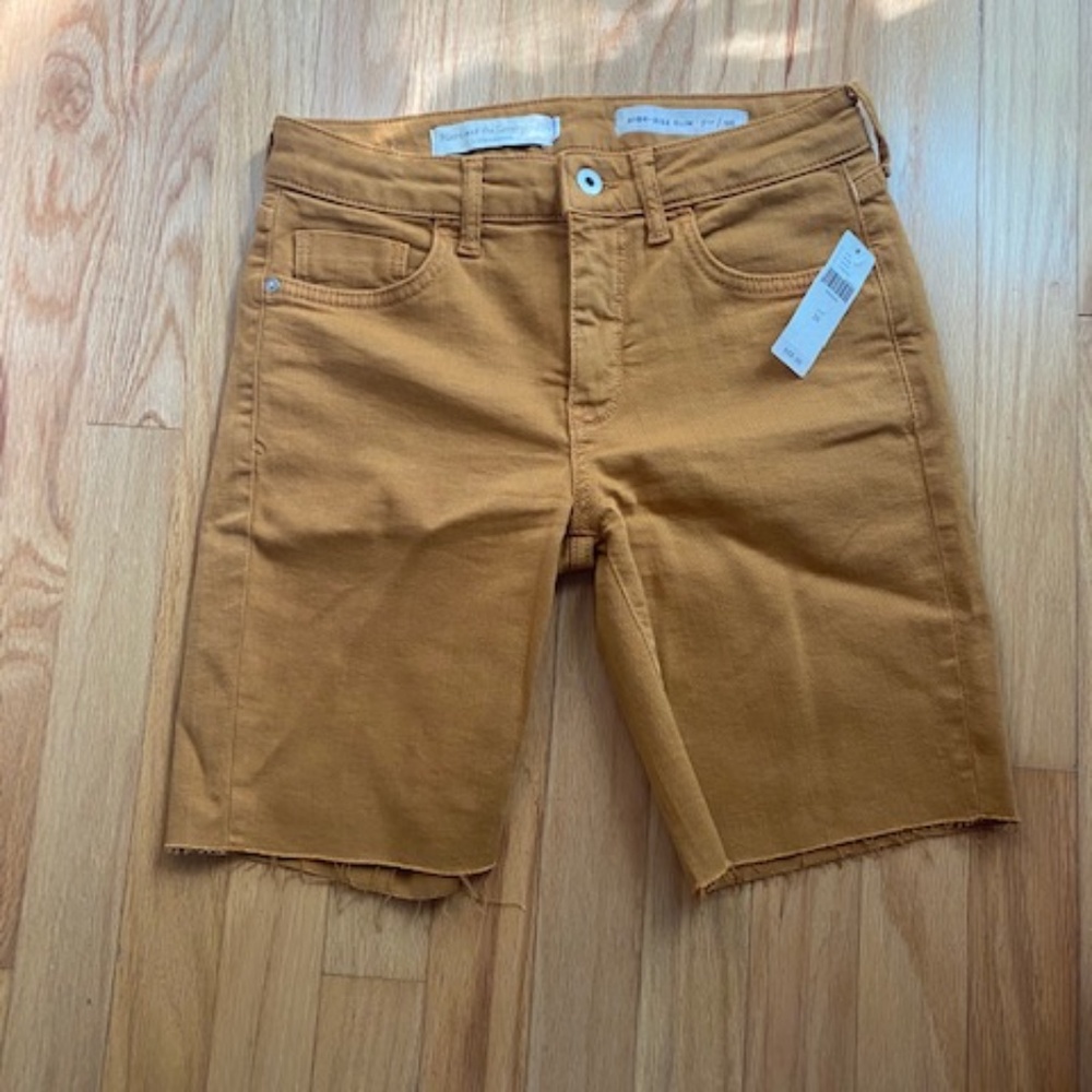 NWT Anthropologie Pilcro and the Letterpress shorts